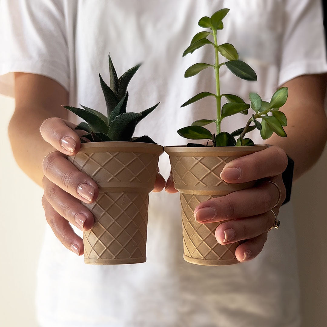 Kid Cones 3-Pack