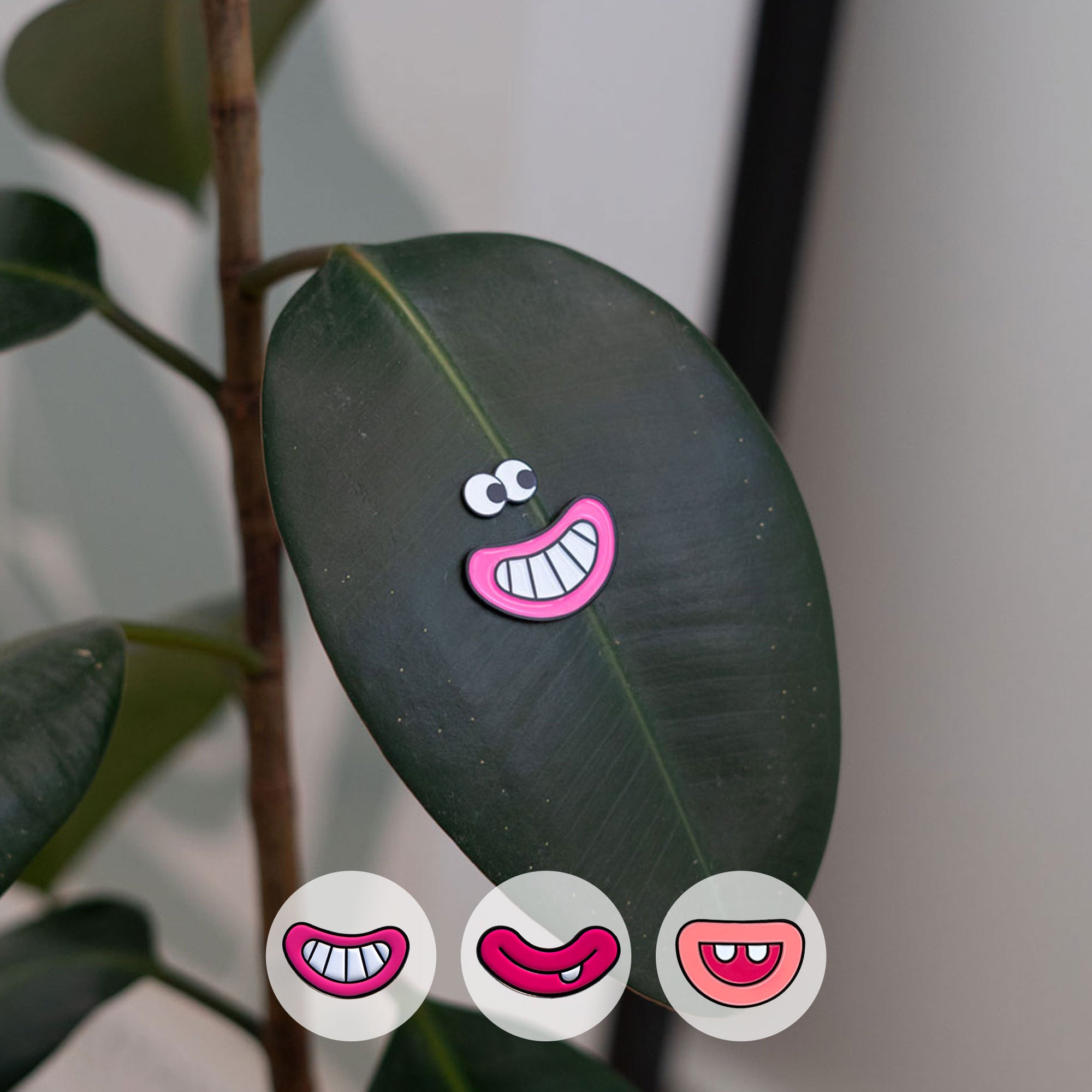 Plant Magnets Eyes For Potted Plants 6Pcs Funny Plant Safe Magnet Pins  Charm Indoor Plant Accessories Decorative Mini Magnets - AliExpress