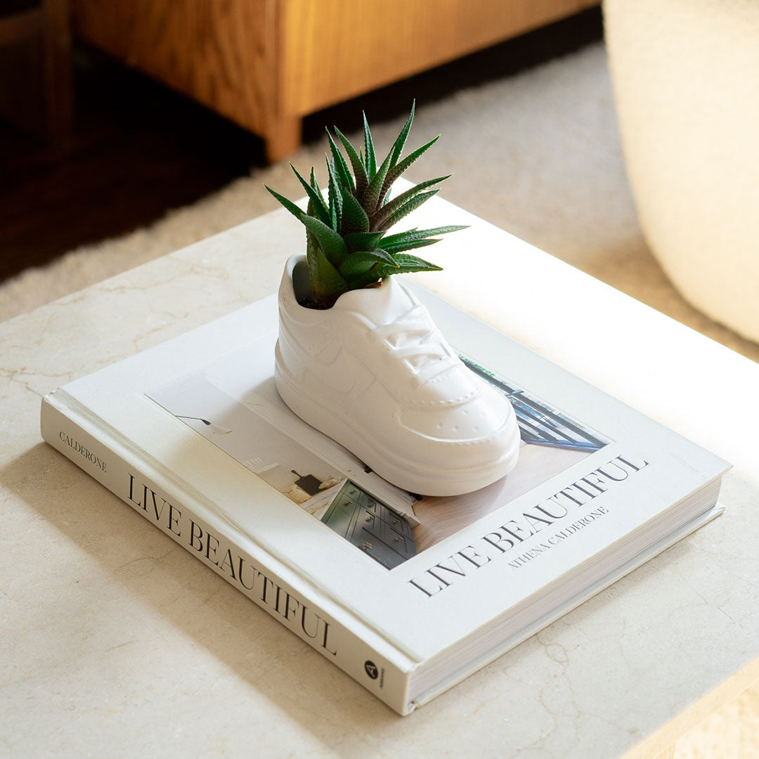 air force 1 plant pot Force – Eufolia