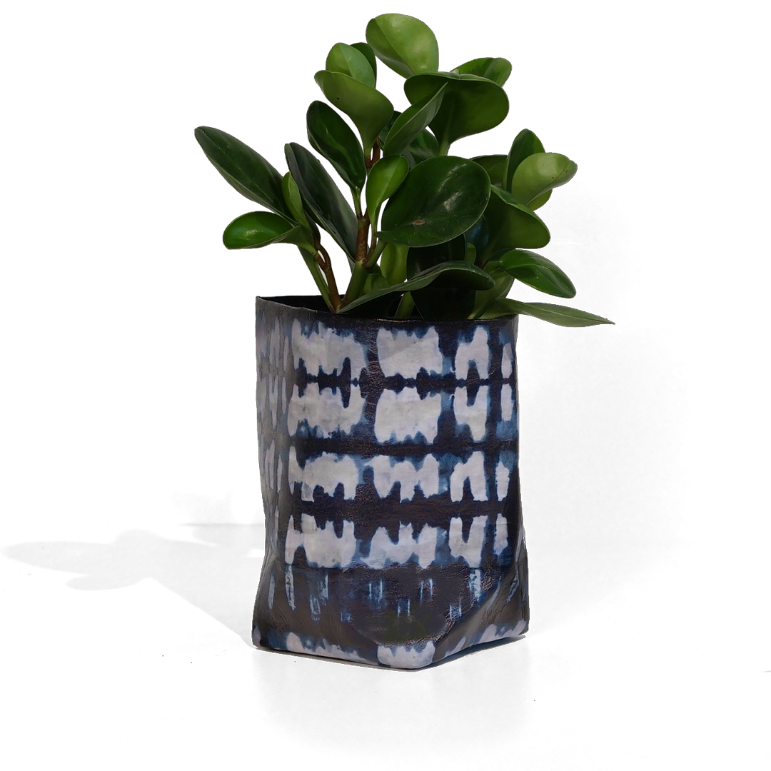 Personalize your Plants with Magnet Plant Charms – Eufolia